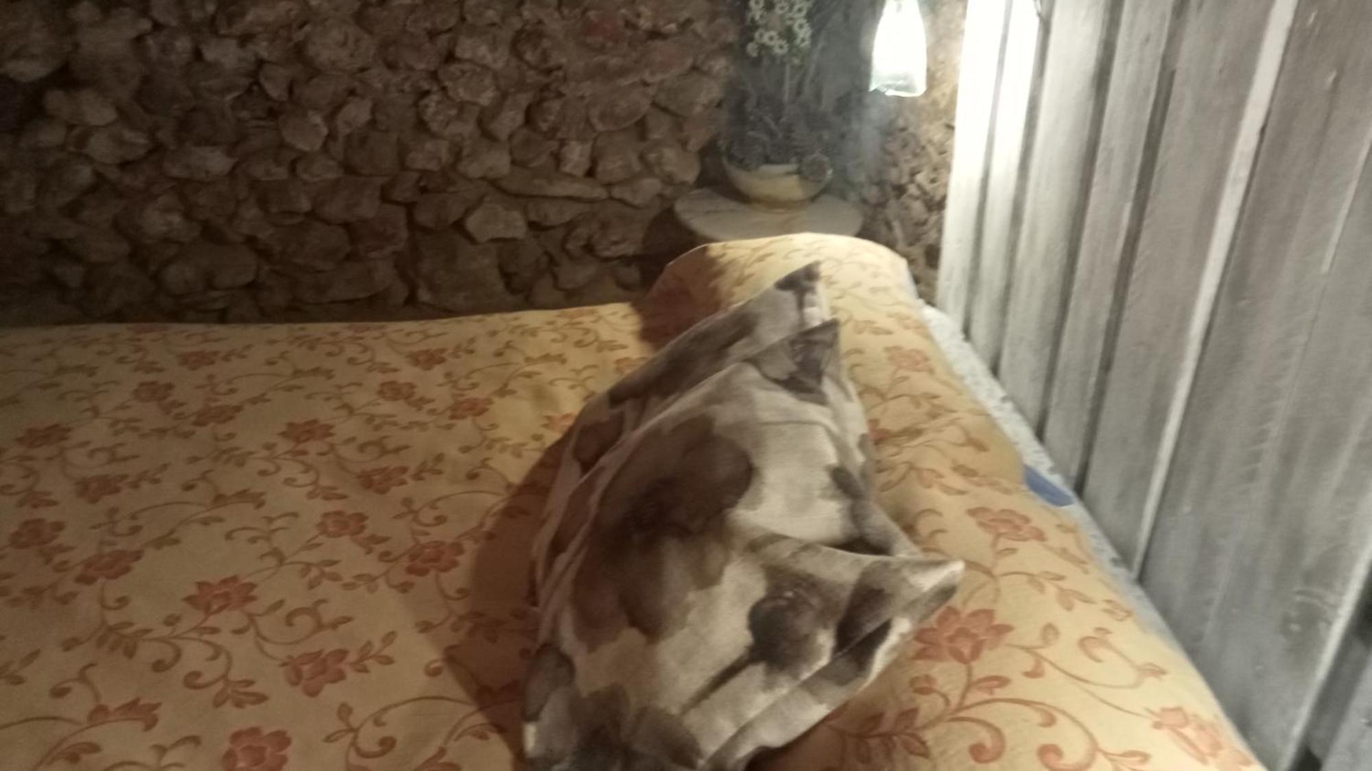 Habitacion En Ocana Екстериор снимка